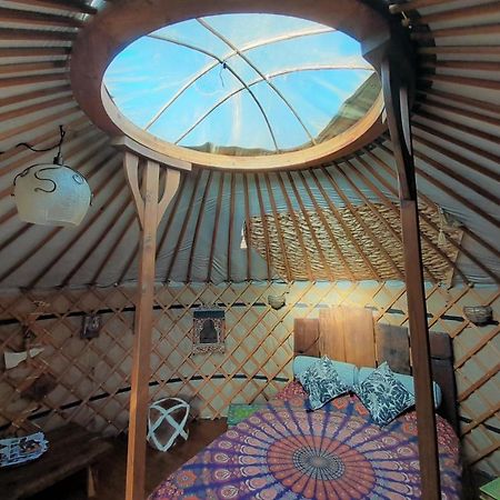 Green Man Yurt Penela Extérieur photo
