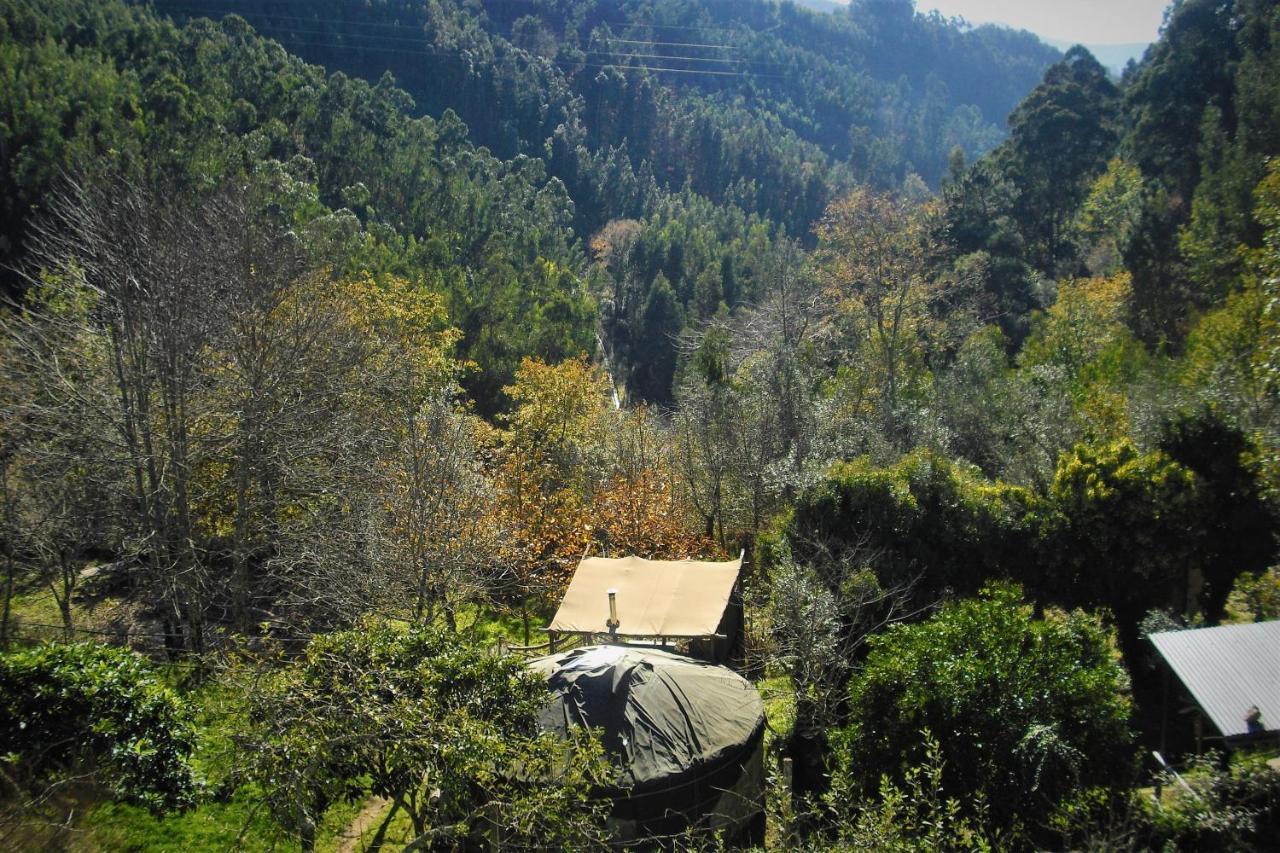 Green Man Yurt Penela Extérieur photo