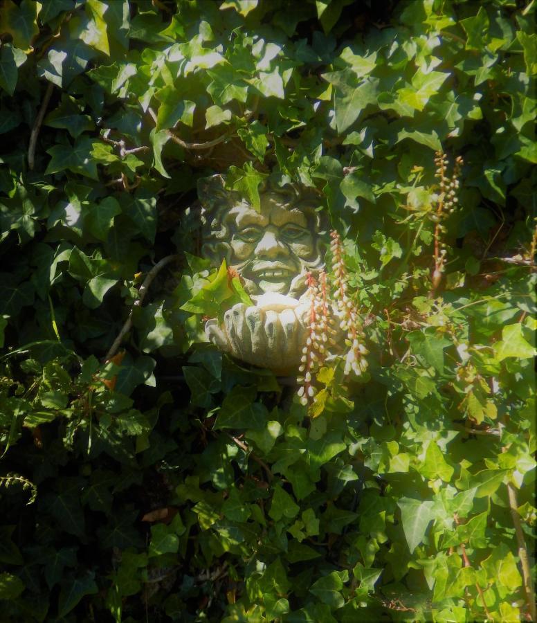 Green Man Yurt Penela Extérieur photo