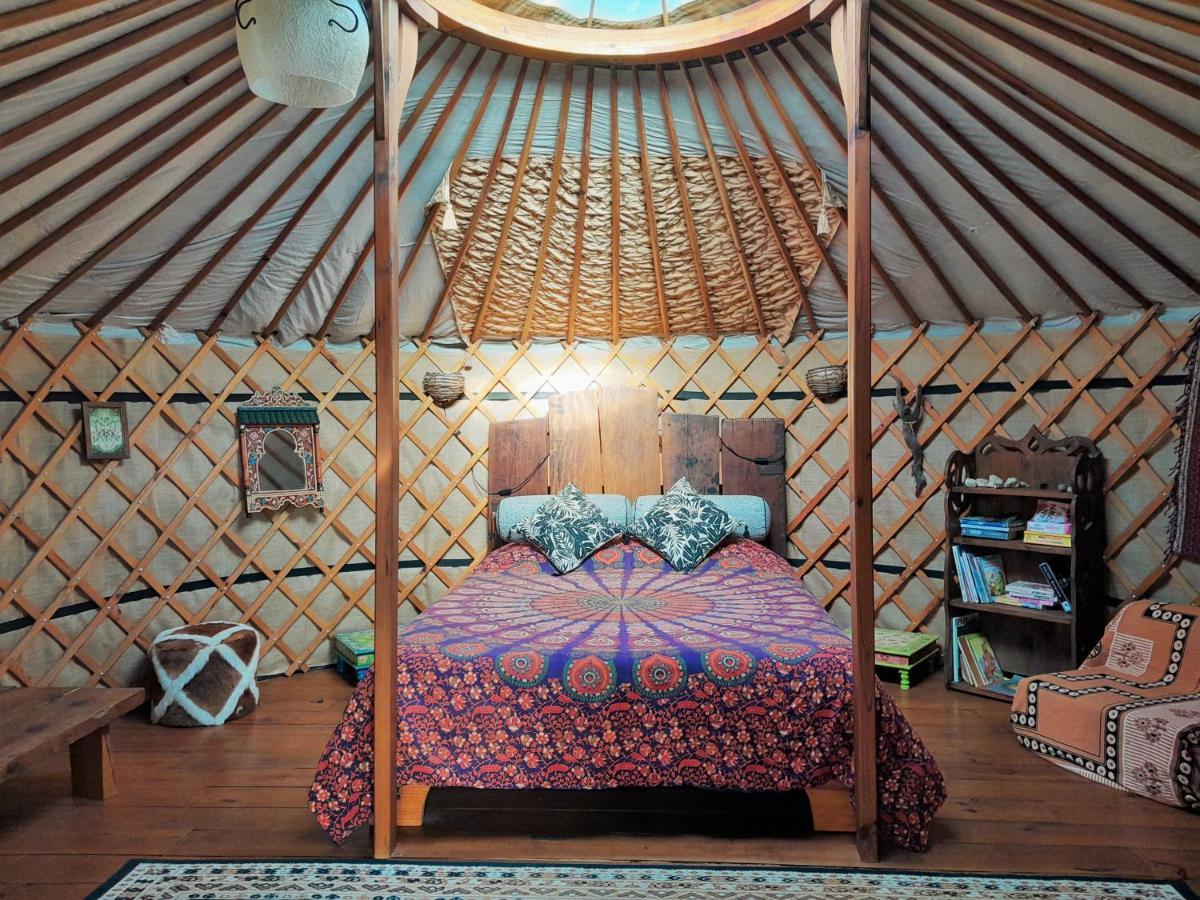Green Man Yurt Penela Extérieur photo